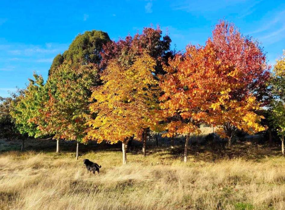 Starlight Retreat Bed & Breakfast Te Anau