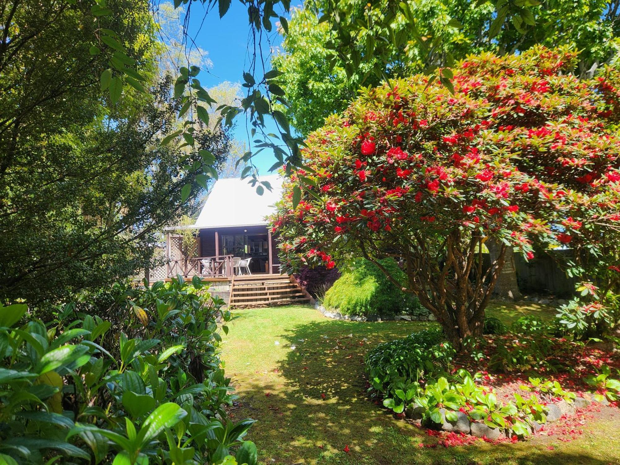 The Lancewoods Te Anau