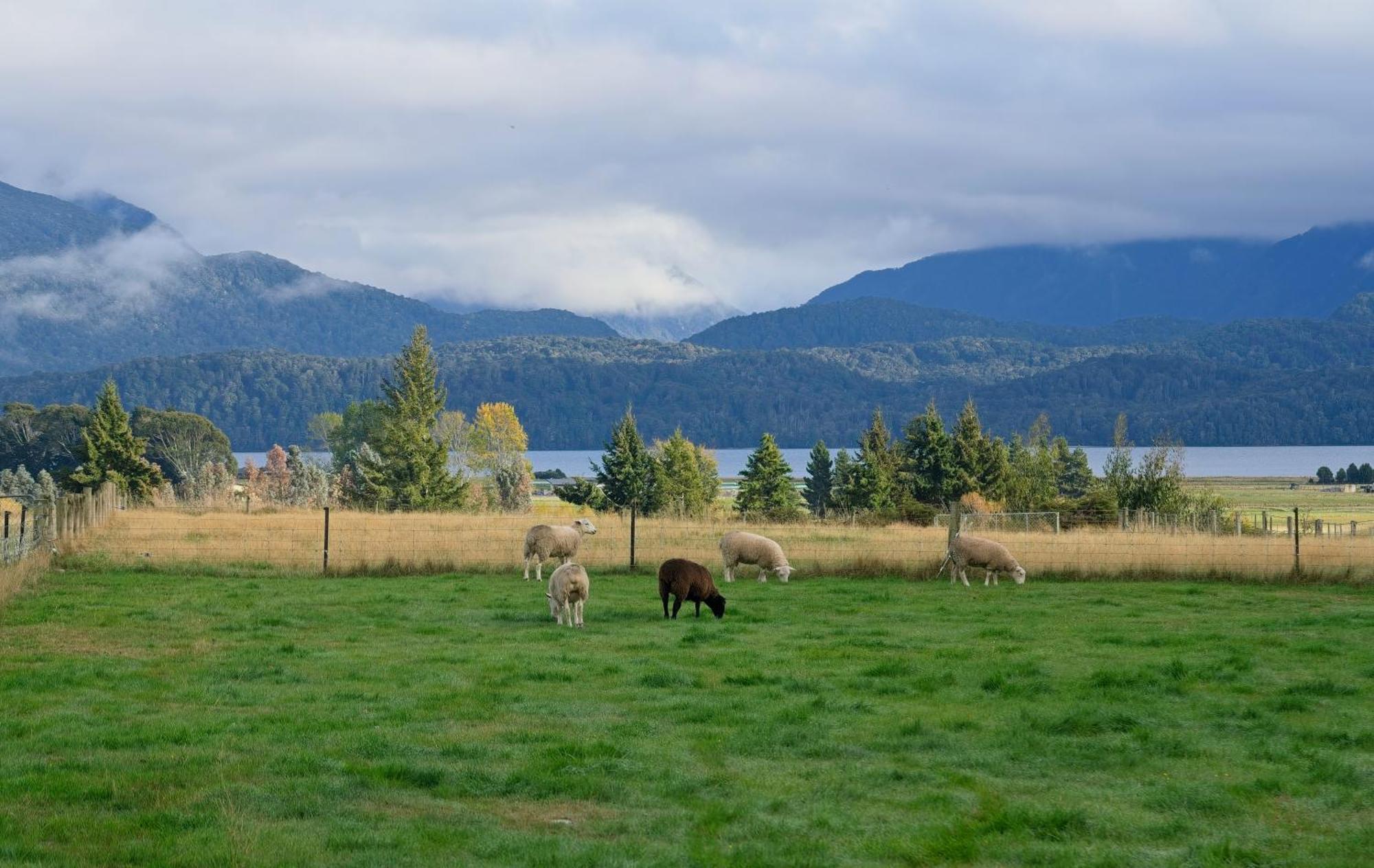 The Croft - Te Anau