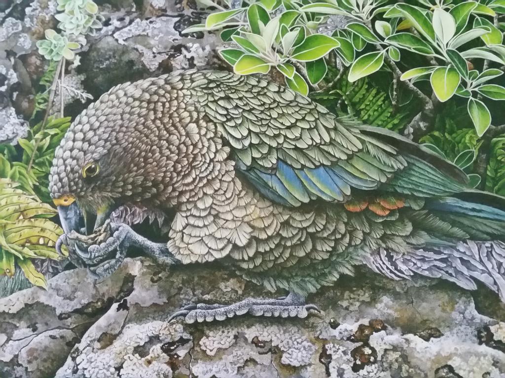 Kea Holiday home
