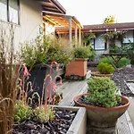 Yha Te Anau