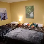 Accommodation Fiordland -The Three Bedroom House At 226A Milford Road