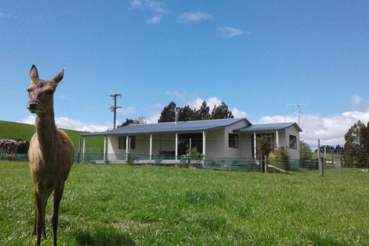 Wilderness Country house Te Anau